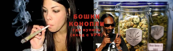 ECSTASY Абаза