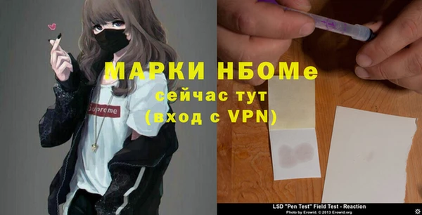 стафф Алексин