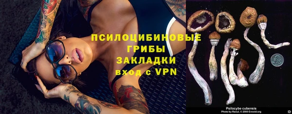 ECSTASY Абаза