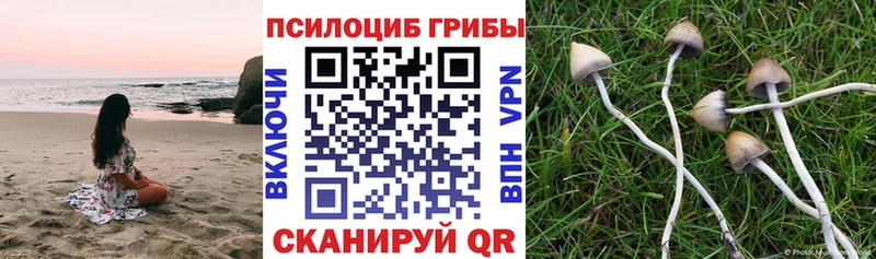 Псилоцибиновые грибы мухоморы  даркнет сайт  Чухлома 